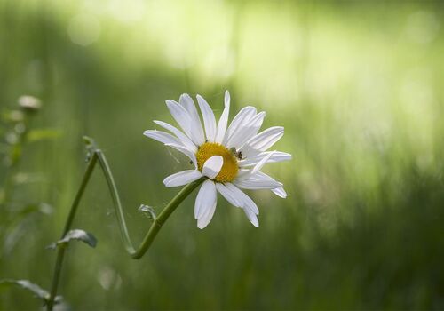 Körperliche Beschwerden beim Menschen