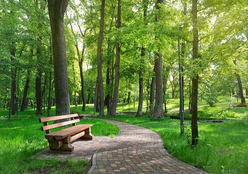 Wellness für Deine Seele